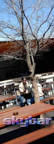 Alma Tavern - Accommodation Nelson Bay 2