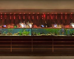 AB Hotel - Accommodation Nelson Bay 2