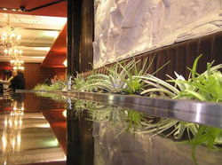Terra Rossa - Accommodation Nelson Bay 2