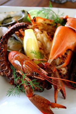 Bretts Wharf - Accommodation Nelson Bay 2