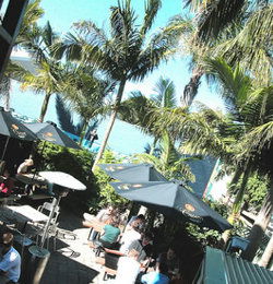 Duck & Swan Hotel - Accommodation Nelson Bay 3