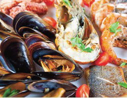 Pelagos Greek Tavern - Accommodation Nelson Bay 2