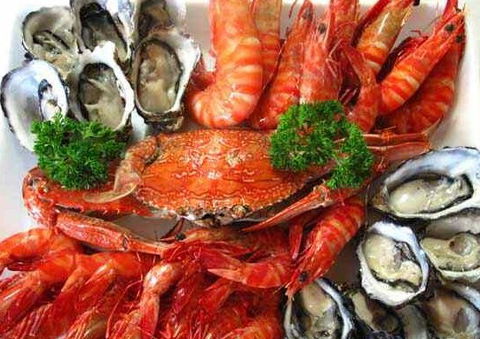 The Lazy Lobster - Accommodation Nelson Bay 1