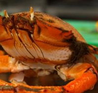 River Cottage Restaurant - Accommodation Nelson Bay