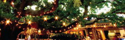 Neutral Bay NSW Nelson Bay Accommodation.com