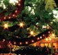 The Oaks - Nelson Bay Accommodation.com