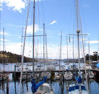 Oyster Cove Inn - Accommodation Nelson Bay