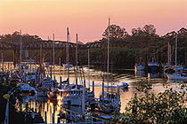 H20 Bar And Bistro - Nelson Bay Accommodation.com 1