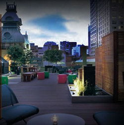 Roof Bar - Nelson Bay Accommodation.com 3