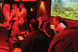 Different Drummer - Accommodation Nelson Bay 3