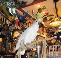 A Friend In Hand - Accommodation Nelson Bay