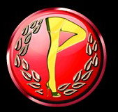 Players Showgirls - Accommodation Nelson Bay