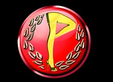 Players Showgirls - Accommodation Nelson Bay 0