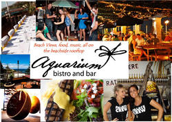 Aquarium - Accommodation Nelson Bay 0