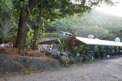 Ellis Beach QLD Accommodation Nelson Bay
