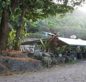 Ellis Beach Bar  Grill - Accommodation Nelson Bay