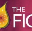 Pickled Fig - Accommodation Nelson Bay