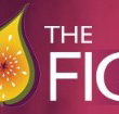 Naked Fig - Accommodation Nelson Bay