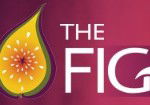 Naked Fig - Accommodation Nelson Bay 0