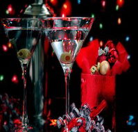 Niche Bar and Lounge - Accommodation Nelson Bay
