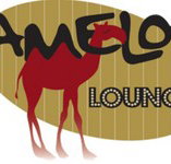 Camelot Lounge - Accommodation Nelson Bay