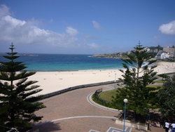 Aquarium - Accommodation Nelson Bay 2