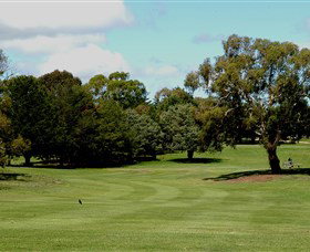 Cooma Golf Club - Accommodation Nelson Bay 1