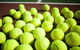 Old Bar Tennis Club - thumb 0