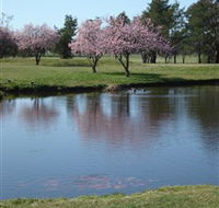 RMC Golf Club - Accommodation Nelson Bay