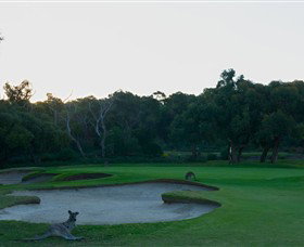 Anglesea Golf Club - Accommodation Nelson Bay 8