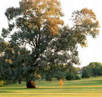 Cowra Golf Club - Accommodation Nelson Bay