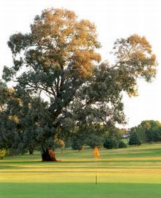 Cowra Golf Club - Accommodation Nelson Bay 0