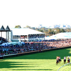 Morphettville SA Accommodation Nelson Bay