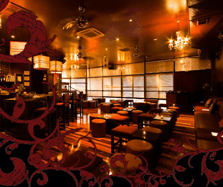 Hippo Lounge Bar - Accommodation Nelson Bay