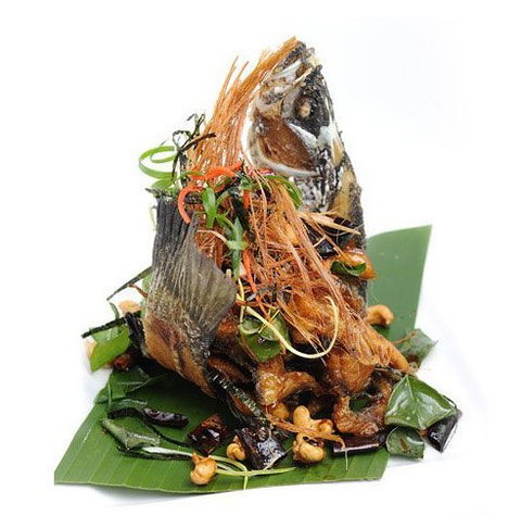 Chilli Cha Cha - Accommodation Nelson Bay 3