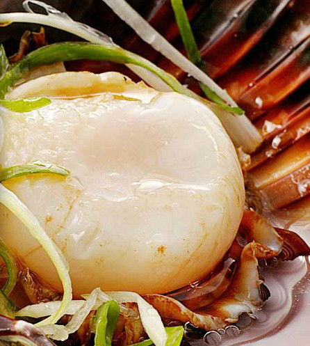Golden Century Seafood Restaurant - Accommodation Nelson Bay 2