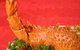 Marigold - thumb 0