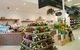 Ambarella Fine Foods - thumb 3