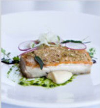 PJ's Irish Sports Bar & Bistro @ The Criterion Hotel - Accommodation Nelson Bay 0