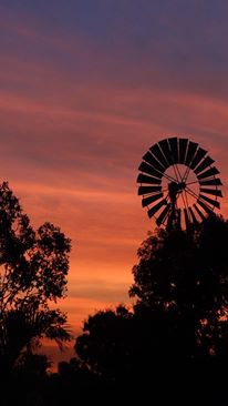 Emerald Springs Roadhouse - Accommodation Nelson Bay 5