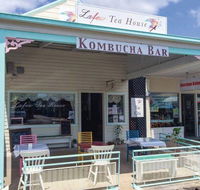 Lafew Teahouse  Kombucha Bar - Accommodation Nelson Bay