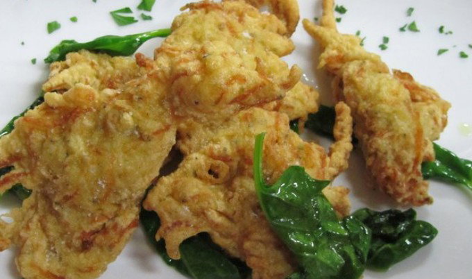 Haberfield NSW Accommodation Nelson Bay