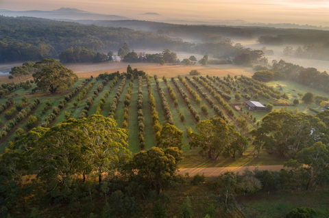 A Taste Of Truffles - Accommodation Nelson Bay 1