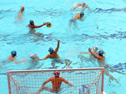 Australian Youth Water Polo Championships - Accommodation Nelson Bay 0