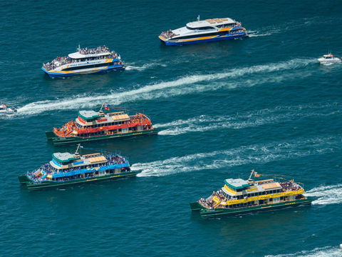 Australia Day Sydney Harbour Cruises - Accommodation Nelson Bay 1