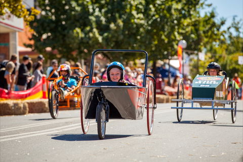 Australian Billy Cart Championships - Accommodation Nelson Bay 2