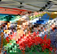 Ballina Missingham Farmers Market - Accommodation Nelson Bay