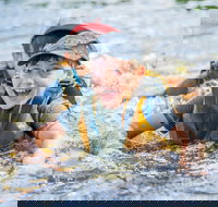 Cave Hill Creek Summer Camp - Accommodation Nelson Bay