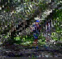Elephant Trail Race - Accommodation Nelson Bay
