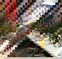 Grampians Wildflower Show - Accommodation Nelson Bay